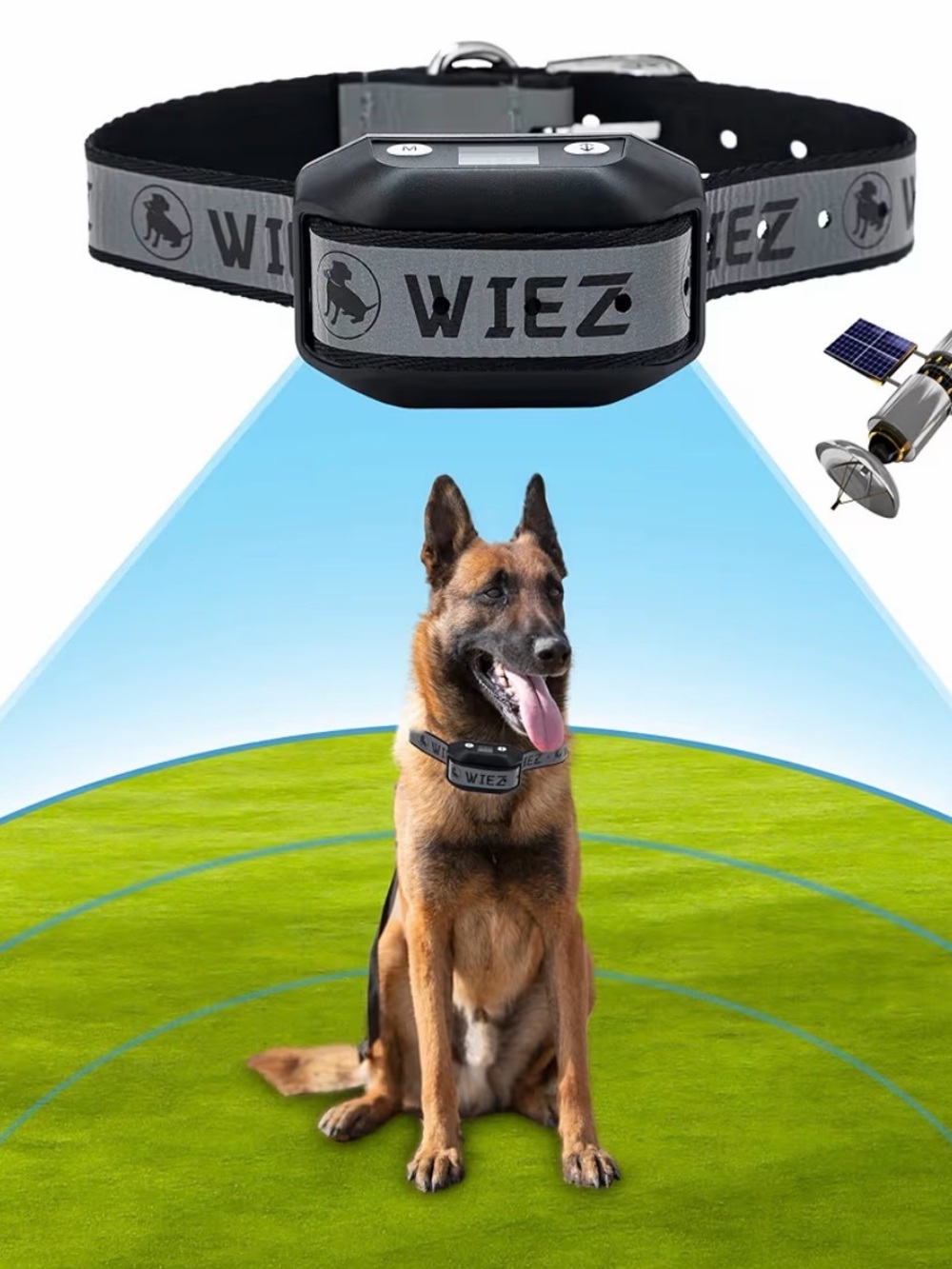 Gray Anti-Bark Dog Collar with Remote